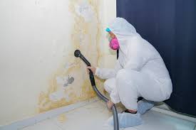 Best Mold Documentation for Insurance Claims  in Hazleton, PA